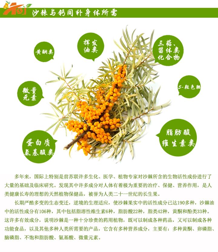 孕妇能吃沙棘钙吗 艾康专业解答沙棘钙的优点